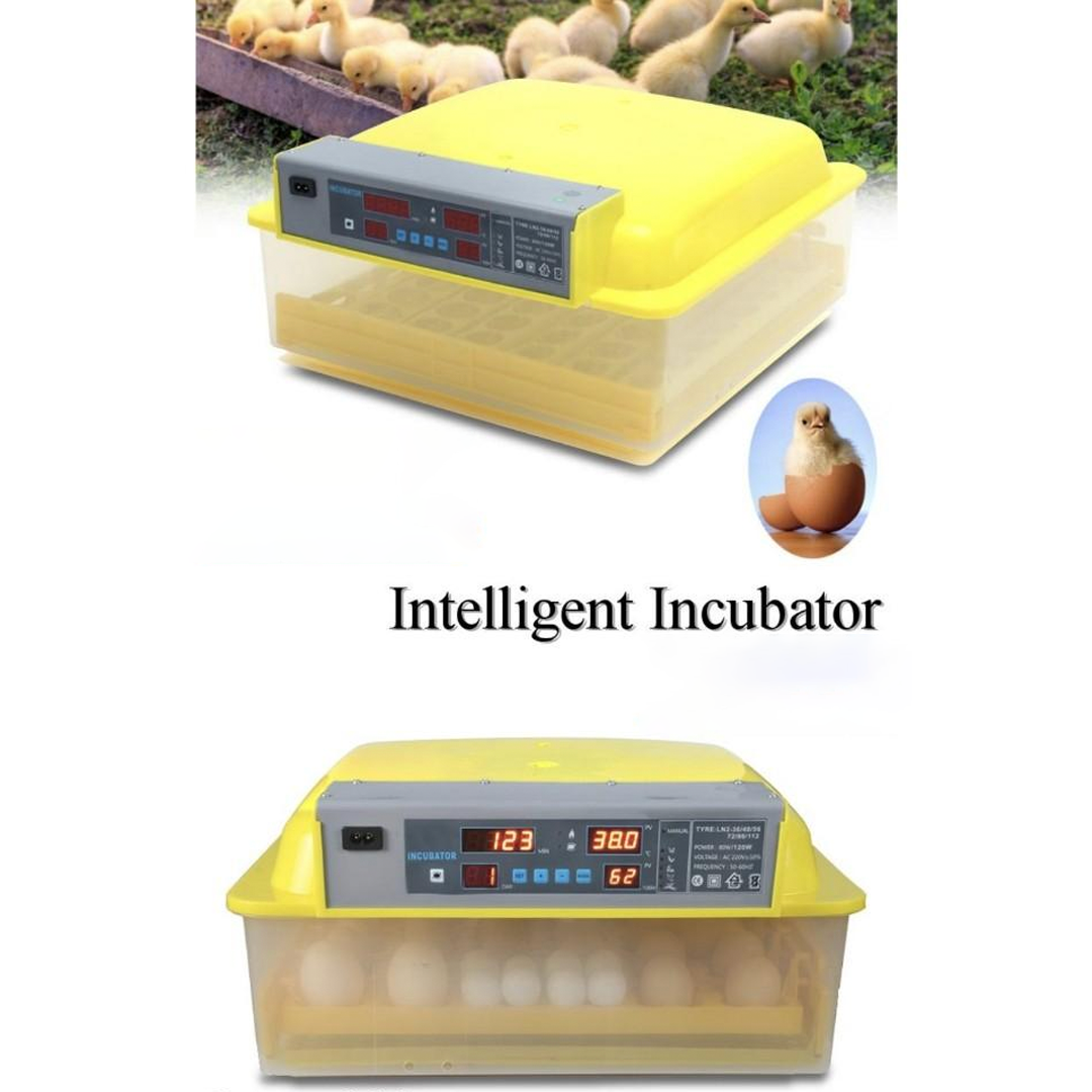 Inkubator za 56 jaja sa kontrolom temperature i vlažnosti