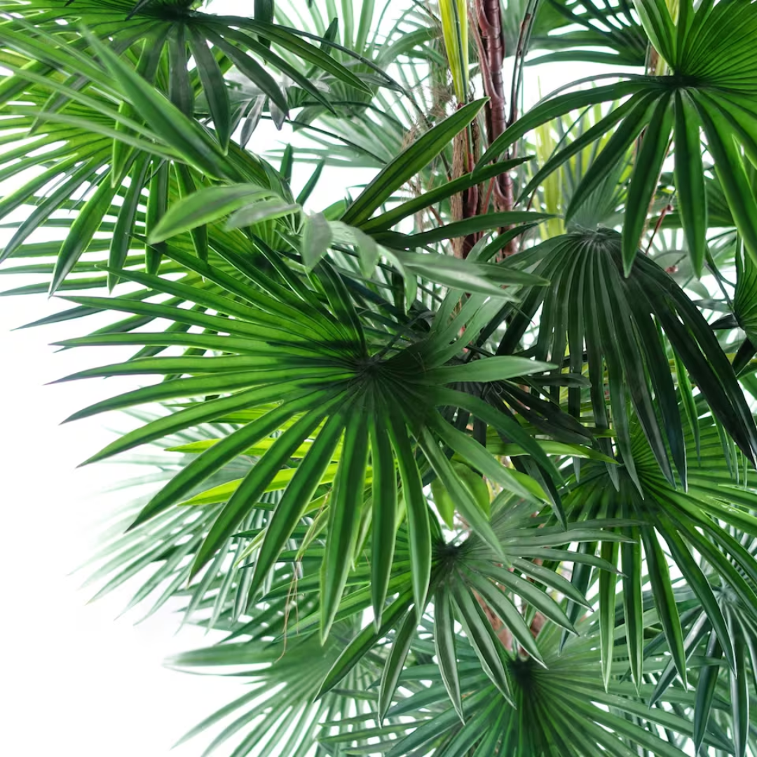 Veštačka palma Bamboo – 90 cm