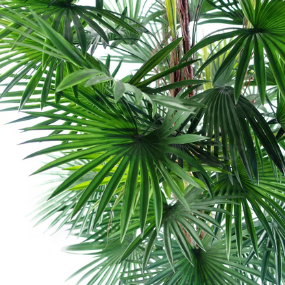 Veštačka palma Bamboo – 90 cm